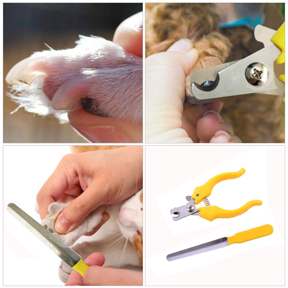 Surker Professional Pet Hair clippers Rechargeable Electric Hair Trimmer for dog cordless Haircut Machine Pet Grooming Kit - surker