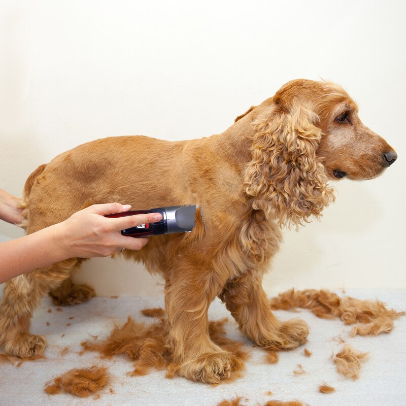 Surker Electric Dog Hair Trimmer Professional Clipper Dog Grooming Machine Cordless Pet Haircut Machine SK-508 - surker
